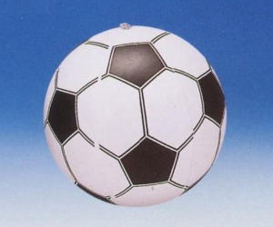 ビーチボール サッカー 玩具 遊具総合問屋 有 赤羽根 玩具 景品 ファンシー雑貨